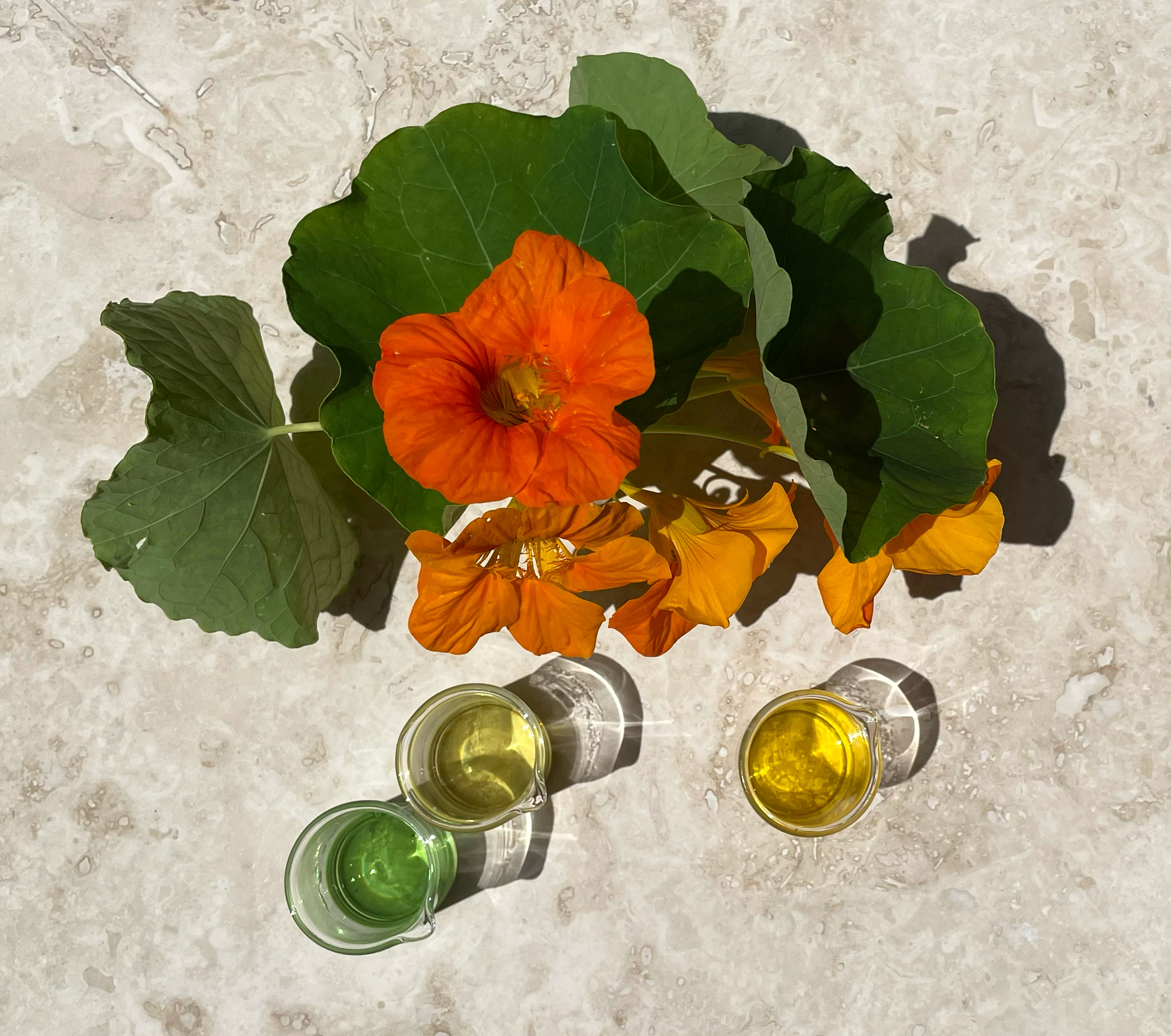 Nasturtiums and essential oils used in natural perfume