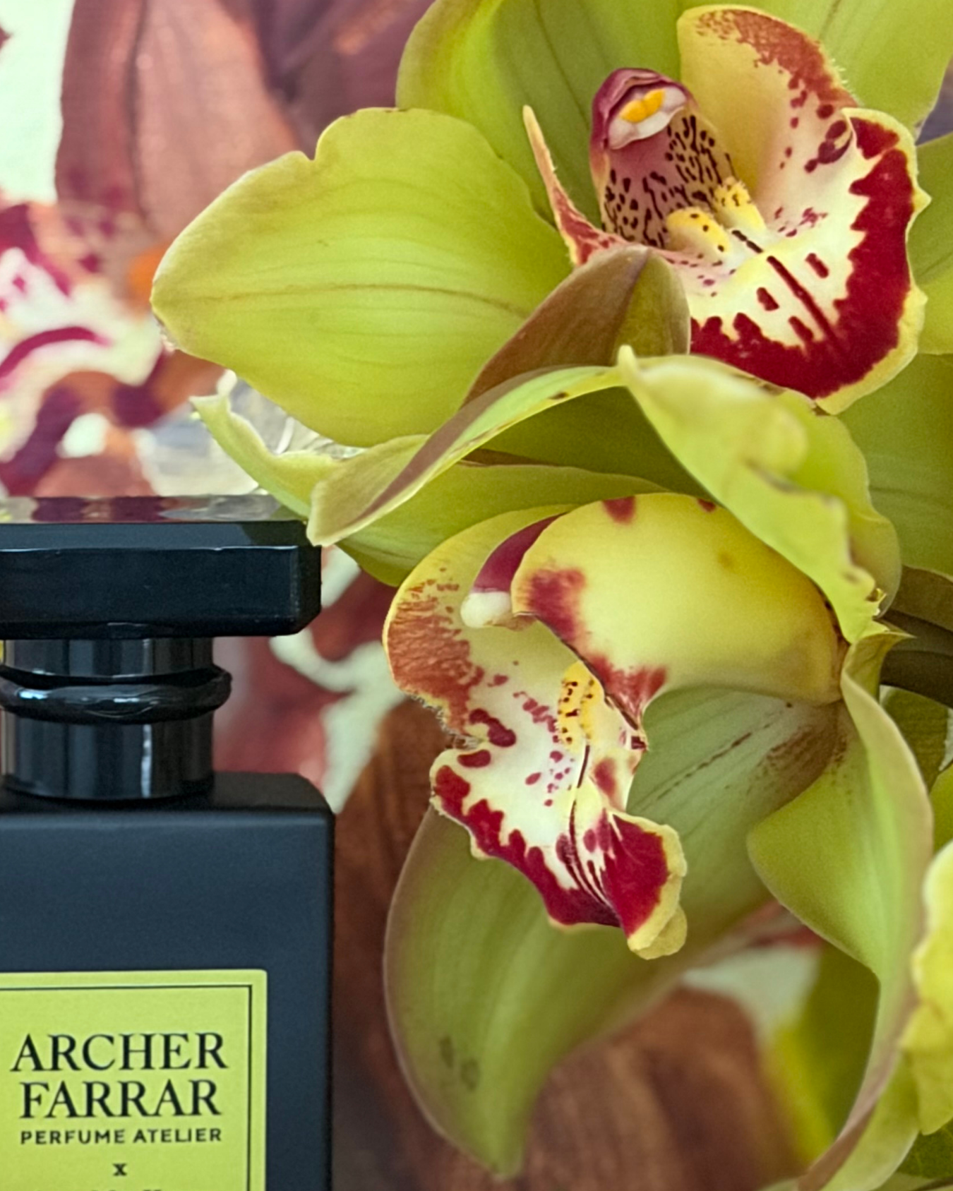 Perfume bottle obscured by yellow cymbidium orchid